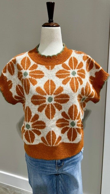 Sweater knit short sleeve rust